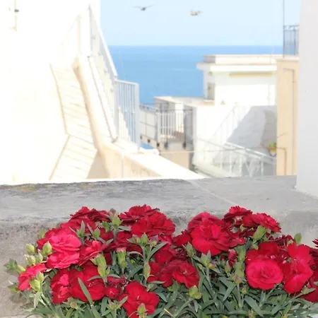 Casa Pamela * Polignano a Mare